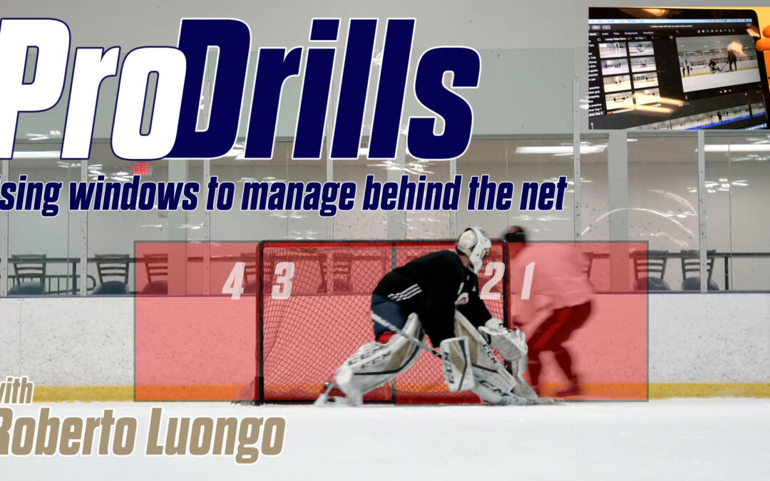 Pro Drills: Luongo on windows to manage behind the net
