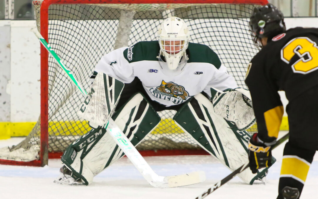 Hockey Academies: InGoal Parent Weighs Pros and Cons