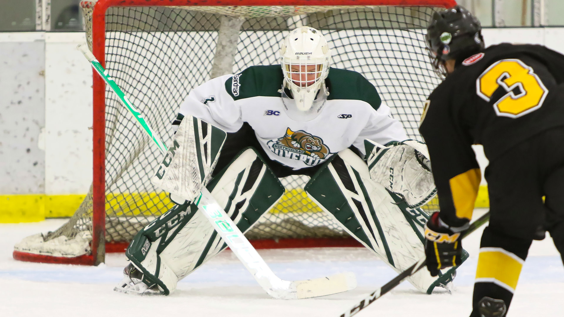 Hockey Academies: InGoal Parent Weighs Pros and Cons