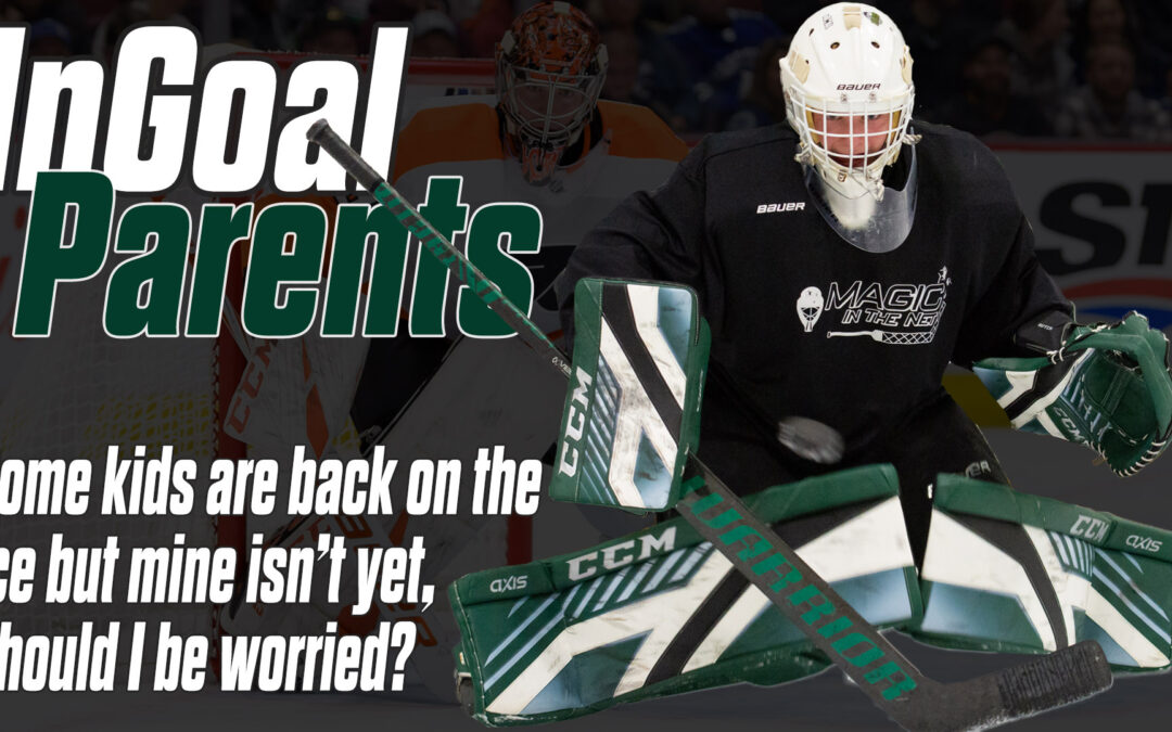 InGoal Parents: No ice here — should I be worried?