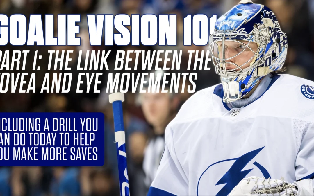 Goalie Vision 101