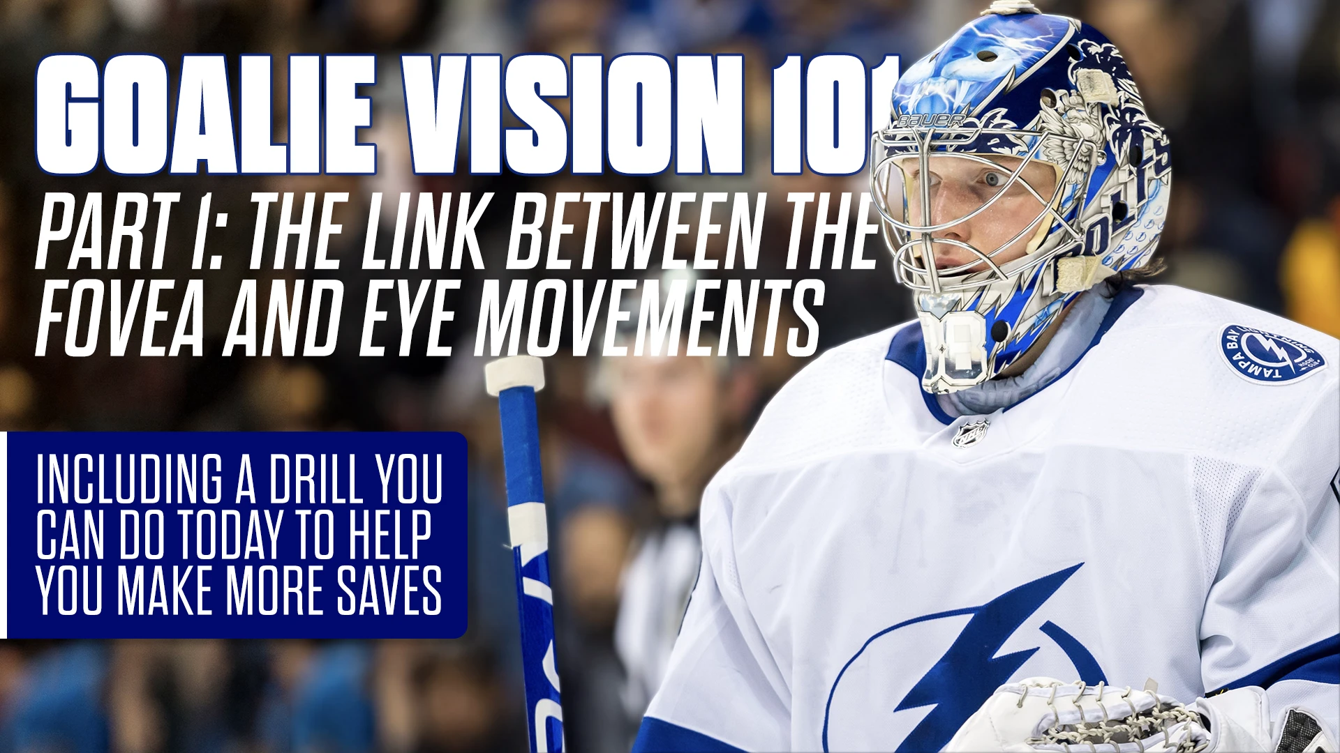 Goalie Vision 101