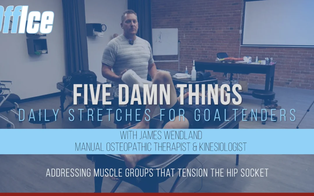 5 Damn Things to Improve Goalie Hip Health