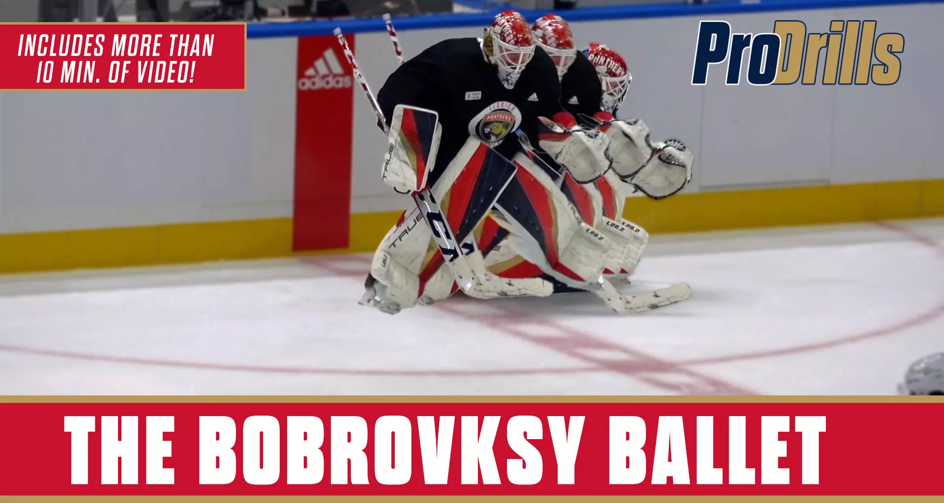 The Bobrovksy Ballet