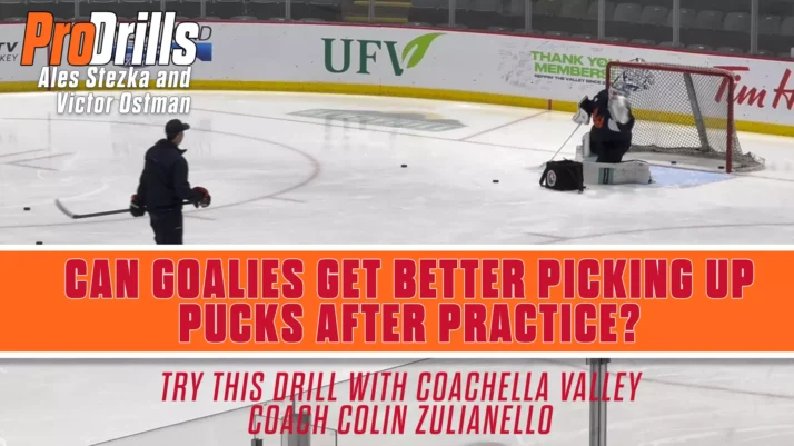 Coachella Valley Goalies Puck Cleanup Game